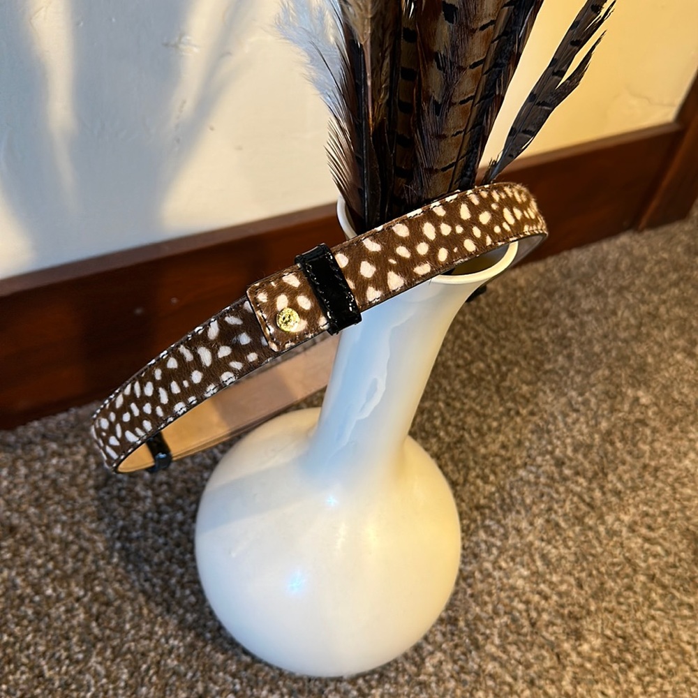 Jimmy choo adjustable belt